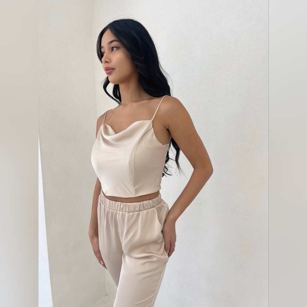 NWOT Elegant Satin "Champagne" Corset-Style Top